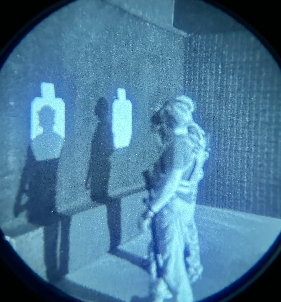 COMBAT MARKSMANSHIP NVG